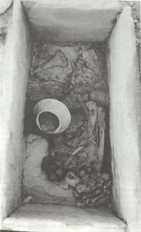 Lámina V, Tumba 41 de Gatas, Zona C. Fuente: 5a Campaña de excavaciones en el yacimiento de Gatas (Turre-Almería). 1995., p.3 Image