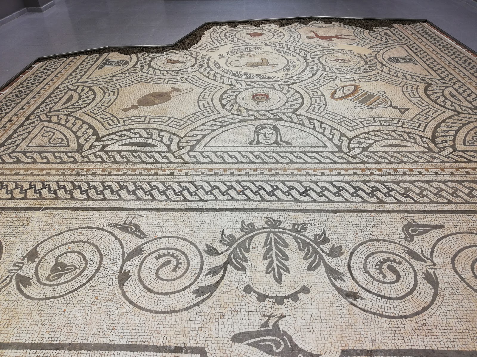 Mosaico romano del siglo III hallado en Ciavieja expuesto en el auditorio de El Ejido. Fuente: patrimonioalmeriensepuebloapueblo.blogspot.com Mosaico romano del siglo III hallado en Ciavieja expuesto en el auditorio de El Ejido. Fuente: patrimonioalmeriensepuebloapueblo.blogspot.com