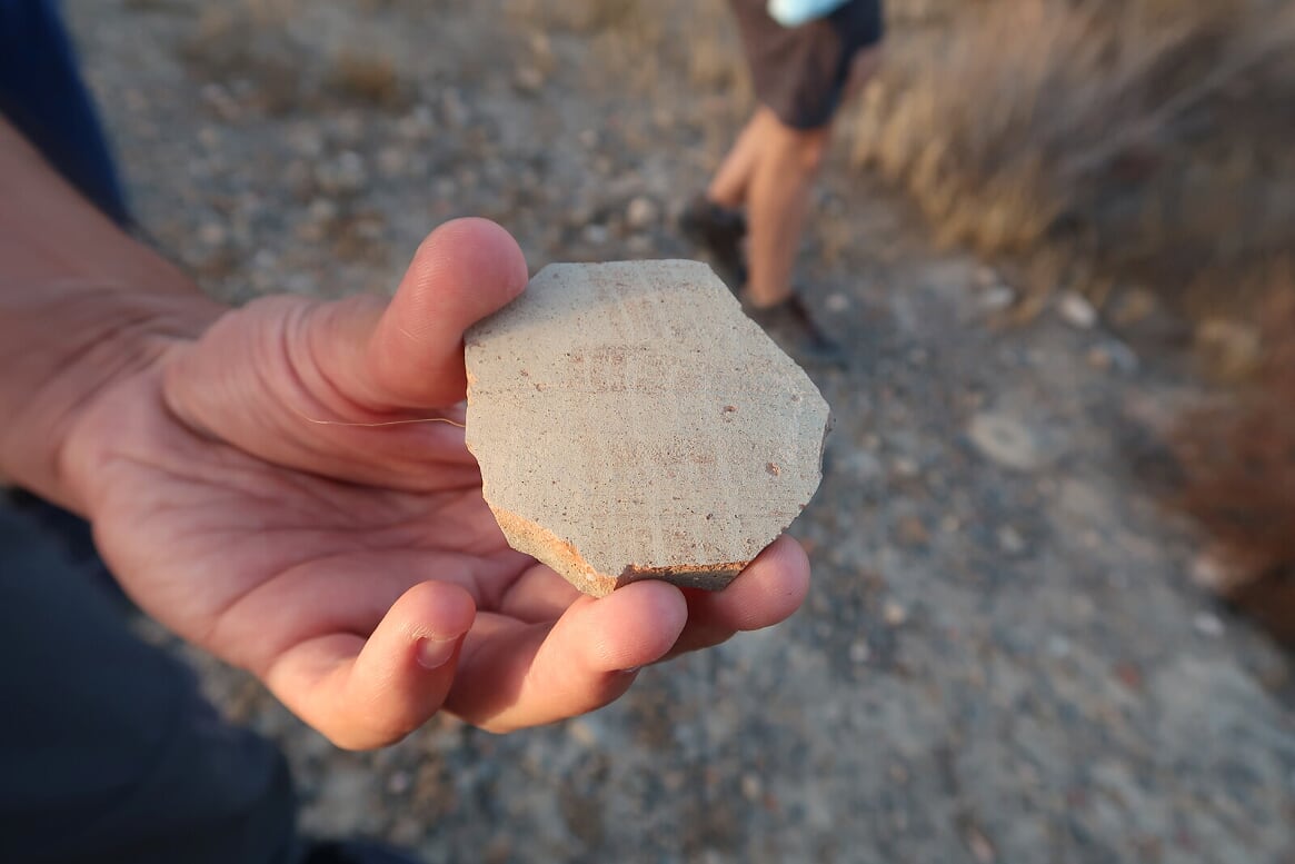 Fragmento de cerámica presumiblemente íbera con decoración de tipo acuática. Cerro de las Agüicas, El Chuche Pedazo de cerámica íbera con decoración de tipo acuática. Cerro de las Agüicas