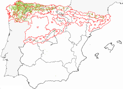 Mapa de distribución de los bosques de Abedules en la península ibérica. Fuente: especiesforestales.com Mapa de distribución de los bosques de Abedules en la península ibérica. Fuente: especiesforestales.com