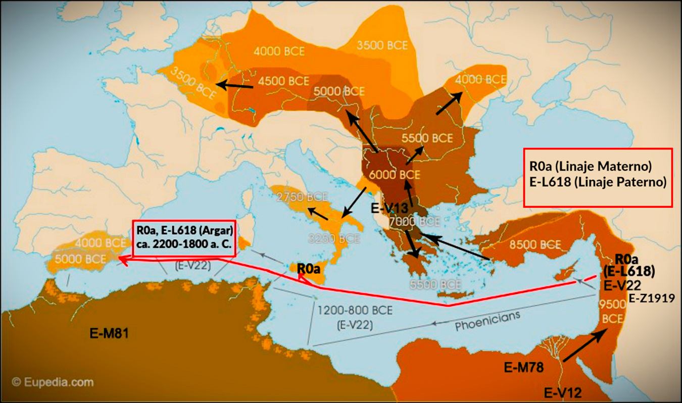 Hipótesis de los autores de este artículo sobre el origen y la ruta mediterránea seguida por la pareja afrasiático-semítica (E-L618 y R0a) fundadora de El Argar desde tierras cananeas (linaje hermano E-V22 y paterno E-Z1919) pasando por Sicilia (linaje femenino R0a). Modificación de los autores de este artículo sobre mapa de Eupedia.com Hipótesis de los autores de este artículo sobre el origen y la ruta mediterránea seguida por la pareja afrasiático-semítica (E-L618 y R0a) fundadora de El Argar desde tierras cananeas (linaje hermano E-V22 y paterno E-Z1919) pasando por Sicilia (linaje femenino R0a). Modificación de los autores de este artículo sobre mapa de Eupedia.com