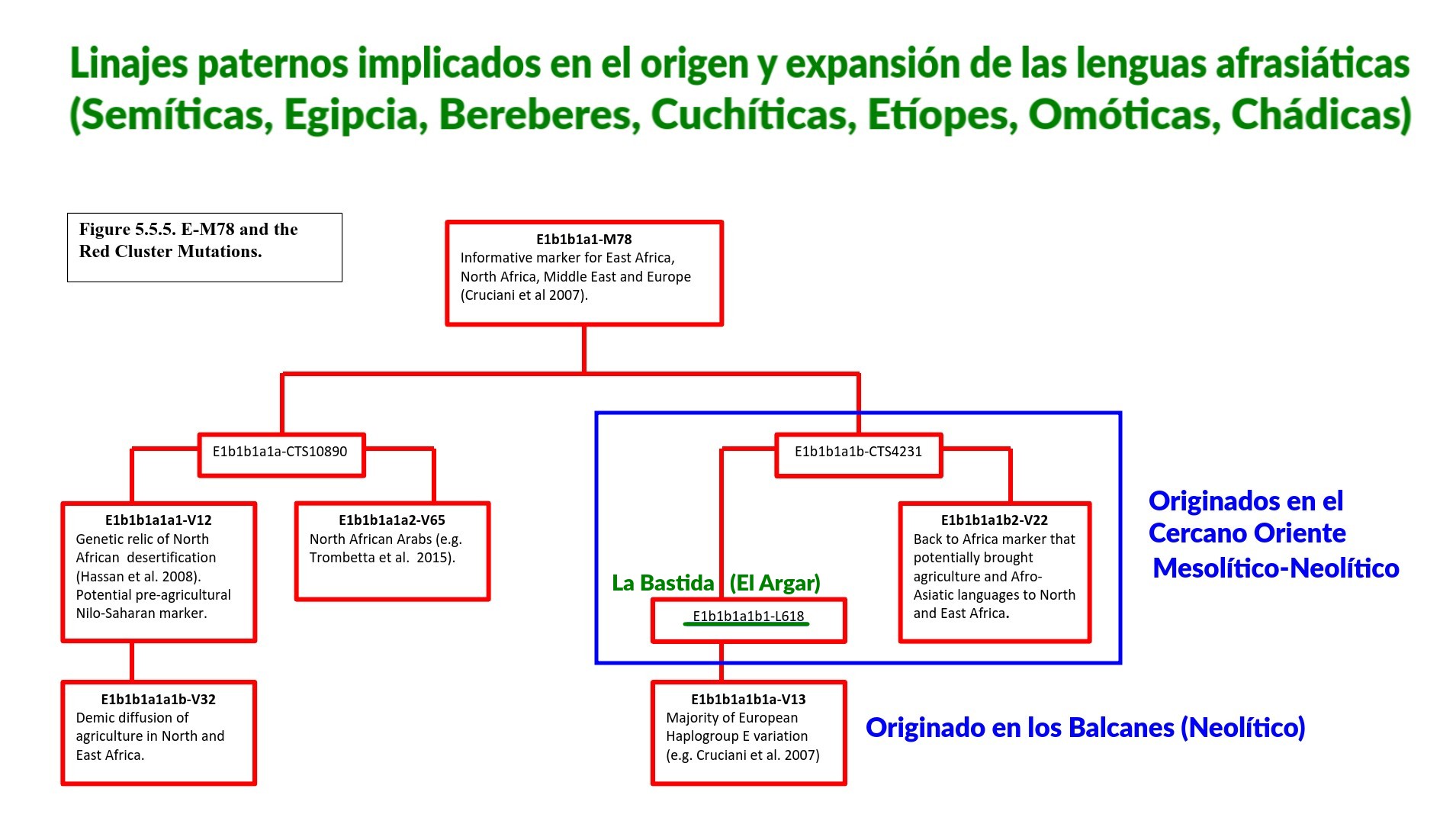 Linajes paternos implicados en el origen de las lenguas afrasiáticas (Semíticas, Egipcias, Bereberes...) de donde procede el E-L618 hallado en El Argar Linajes paternos implicados en el origen de las lenguas afrasiáticas (Semíticas, Egipcias, Bereberes...) de donde procede el E-L618 hallado en El Argar