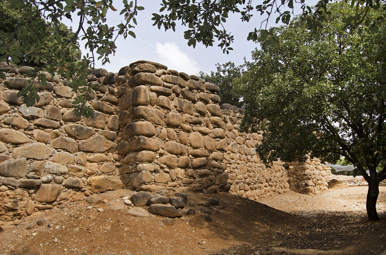 Muralla de Tel Dan (Israel) con muralla y bastiones de tipo argárico. Fuente: Jim Black Muralla de Tel Dan (Israel) con muralla y bastiones de tipo argárico. Fuente: Jim Black