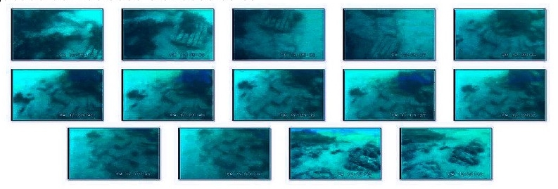 Estructuras de origen antrópico encontradas por Francisco Martínez Salazar en la costa de Barbate, Cádiz - Expedición 'Atlantis Rising', cortesía de Georgeos Díaz-Montexano Estructuras de origen antrópico encontradas por Francisco Martínez Salazar en la costa de Barbate, Cádiz - Expedición 'Atlantis Rising', cortesía de Georgeos Díaz-Montexano