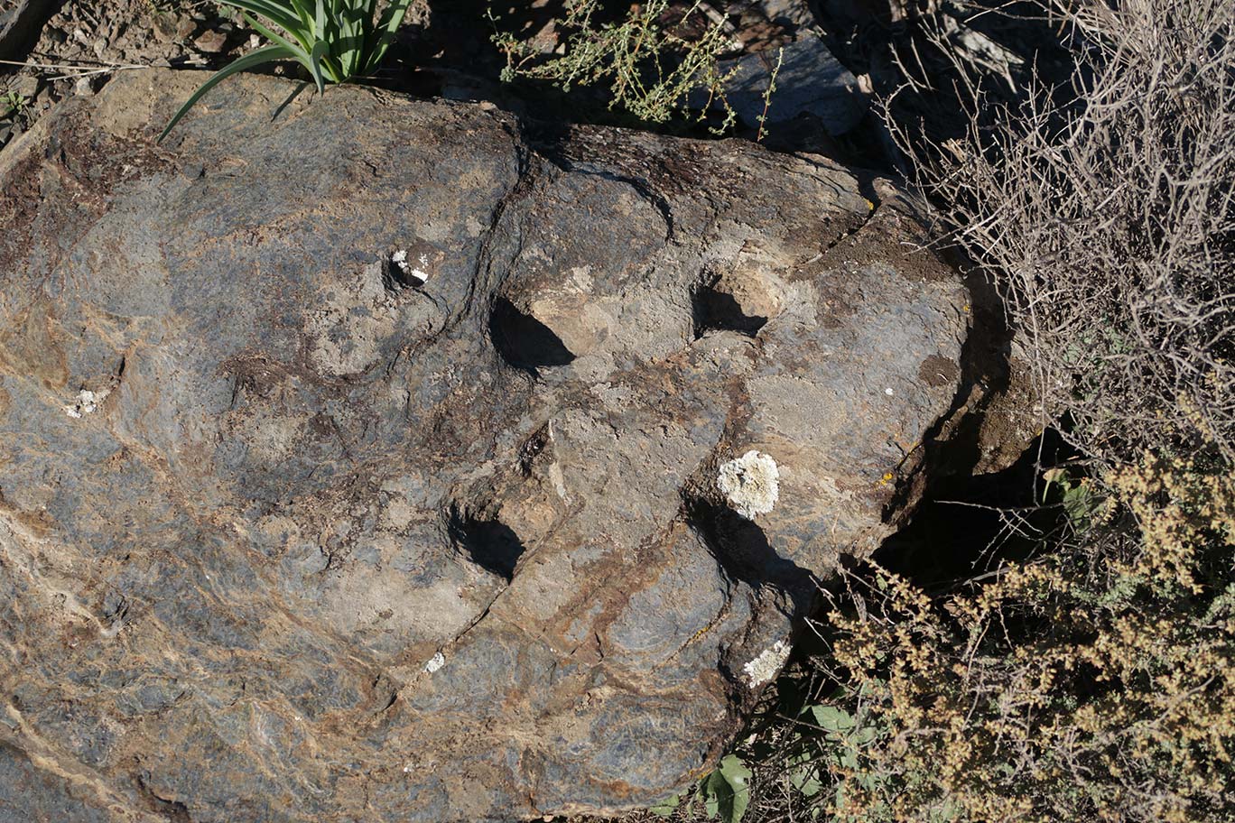 Cazoletas. Necrópolis de Los Milanes Cazoletas. Necrópolis de Los Milanes