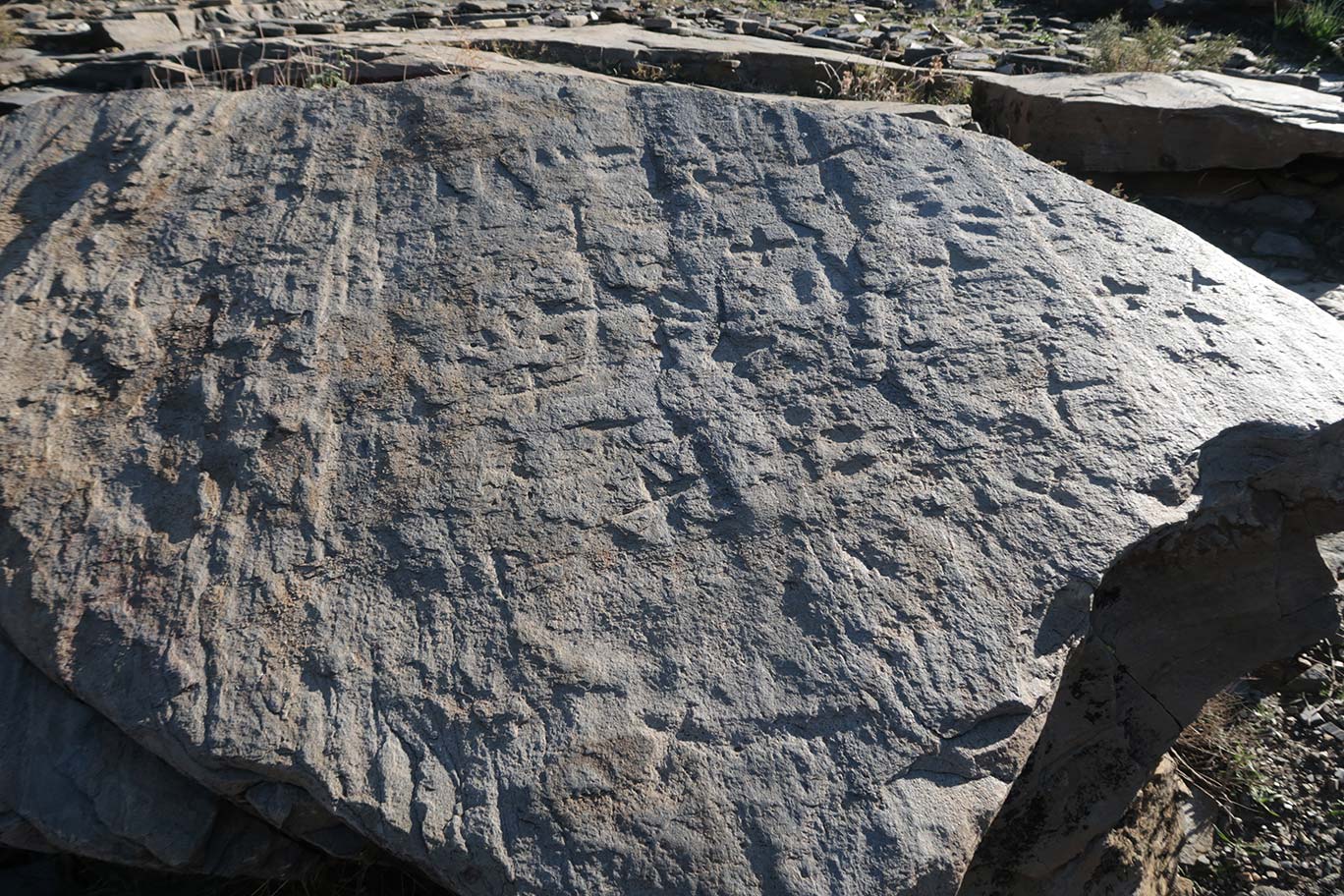 Piedra de Las Pezuñas, necrópolis de Los Milanes, Abla