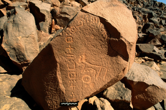 Inscripción líbico-bereber (tifinagh) en Libia / britishmuseum.comm Inscripción líbico-bereber (tifinagh) en Libia / britishmuseum.com